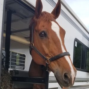 Meet your Posher, Anya